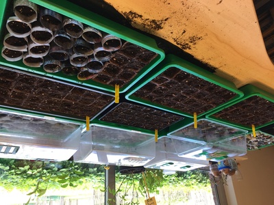 Maatwerk moestuin 7